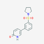 2-HYDROXY-5-[3-(PYRROLIDINYLSULFONYL)PHENYL]PYRIDINE