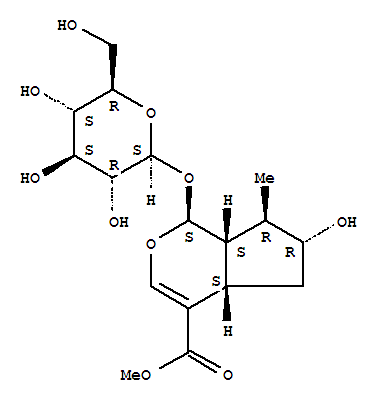 Cyclopenta[c]pyran-4-carboxylicacid, 1-(b-D-glucopyranosyloxy)-1,4a,5,6,7,7a-hexahydro-6-hydroxy-7-methyl-,methyl ester, [1S-(1a,4aa,6b,7a,7aa)]-