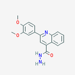 2-(3,4-DIMETHOXY-PHENYL)-QUINOLINE-4-CARBOXYLIC ACID HYDRAZIDE