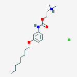 DIMETHYL-[2-[(3-OCTOXYPHENYL)CARBAMOYLOXY]ETHYL]AZANIUM CHLORIDE
