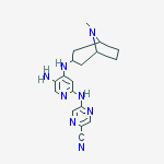5-[[5-amino-4-[(8-methyl-8-azabicyclo[3.2.1]octan-3-yl)amino]pyridin-2-yl]amino]pyrazine-2-carbonitrile molecular structure